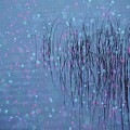Reeds Variation 14