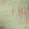 Reeds Variation 23